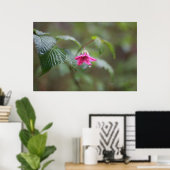 roze voorjaarsbloem in de regen poster (Thuiskantoor)