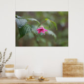 roze voorjaarsbloem in de regen poster (Keuken)