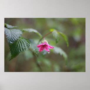 roze voorjaarsbloem in de regen poster