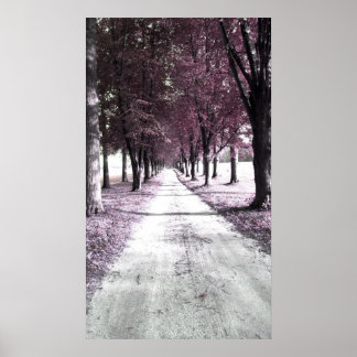 roze voorruitgoot poster