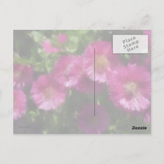 Roze voorster - Briefkaart (Achterkant)