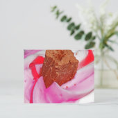 Roze vorst en vlok briefkaart (Staand voorkant)