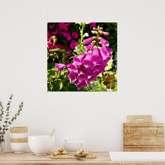 roze voxhandschoenen florale afdruk poster (Keuken)