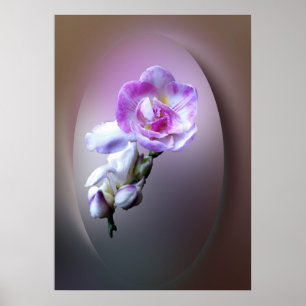 roze vriesbloem poster