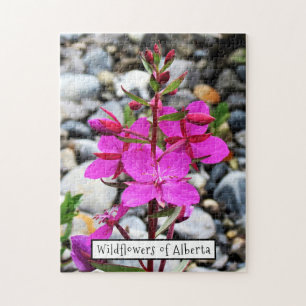 Roze Vuurbloem in Canada Legpuzzel