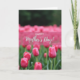 Roze waas Tulp Lente Kaart