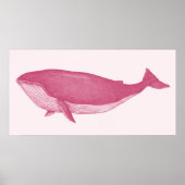 Roze walvis poster (Voorkant)