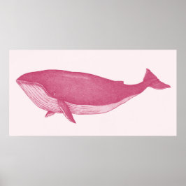 Roze walvis poster