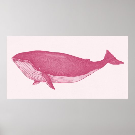 Roze walvis poster (Voorkant)