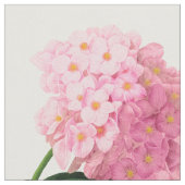 Roze wasprogramma's van het katoendeeg stof (Close Up)