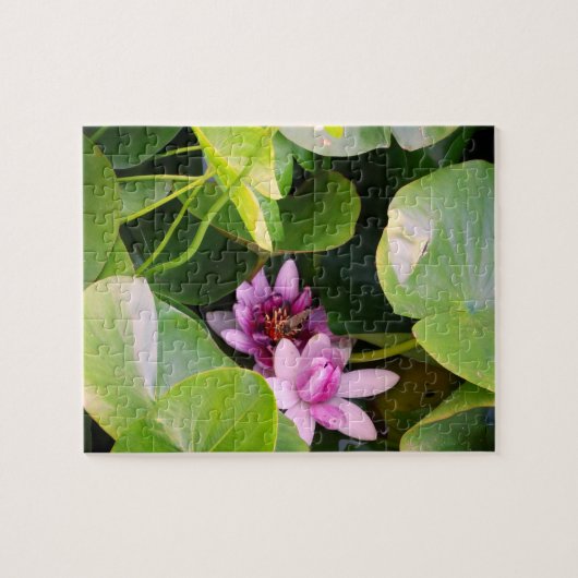 Roze Water Lilly, Lotus Bloem Legpuzzel (Horizontaal)
