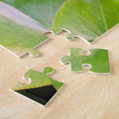 Roze Water Lilly, Lotus Bloem Legpuzzel (Zijkant)