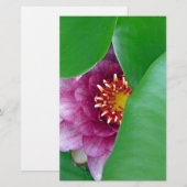 Roze Water Lily Briefpapier (Voorkant / Achterkant)