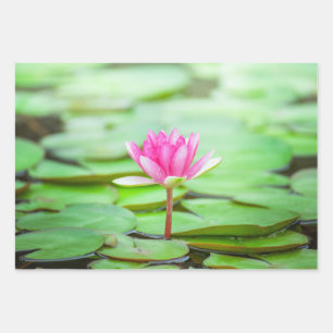 Roze Water Lily Inpakpapier Vel