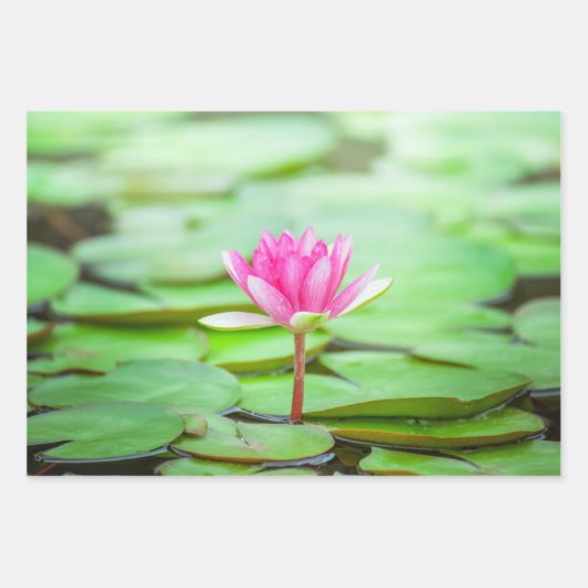 Roze Water Lily Inpakpapier Vel (Voorkant)