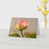 Roze Water Lily Kaart (Gele Bloem)