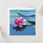 Roze Water Lily Kaart (Voorkant / Achterkant in situ)