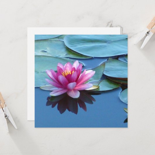 Roze Water Lily Kaart (Voorkant / Achterkant in situ)