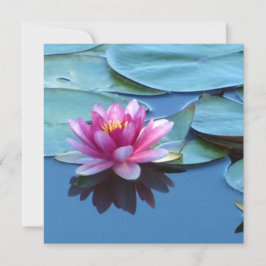 Roze Water Lily Kaart