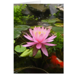 Roze water Lily met vis