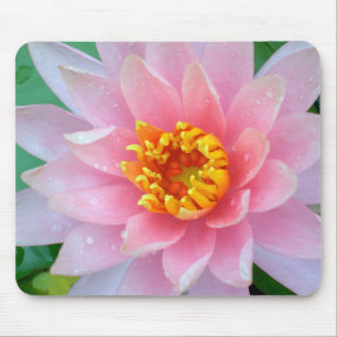 Roze Water Lily Mousepad Muismat