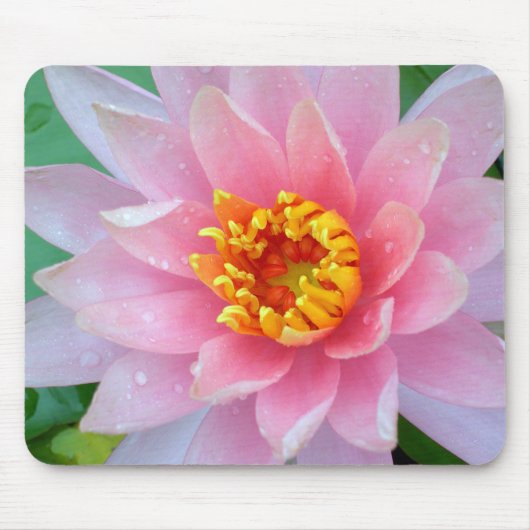 Roze Water Lily Mousepad Muismat (Voorkant)