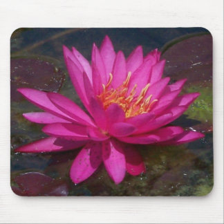 Roze Water Lily Muismat
