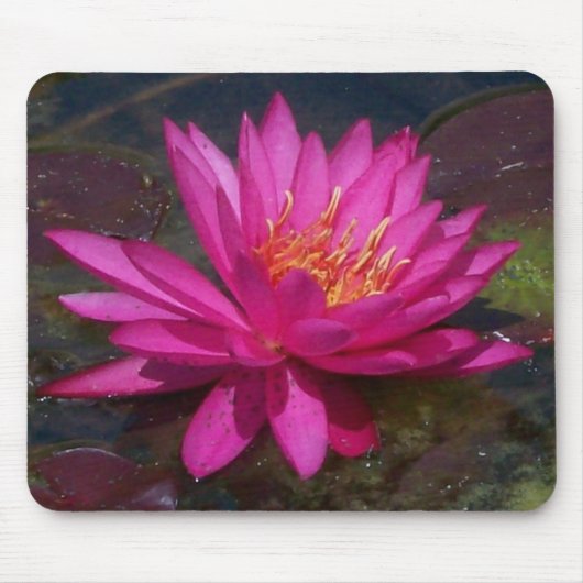 Roze Water Lily Muismat (Voorkant)
