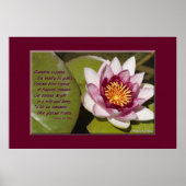 Roze Water Lily Poster (Voorkant)
