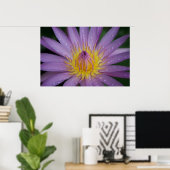 Roze Water Lily Poster (Thuiskantoor)