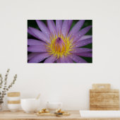 Roze Water Lily Poster (Keuken)