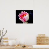 Roze Water Lily Poster (Keuken)