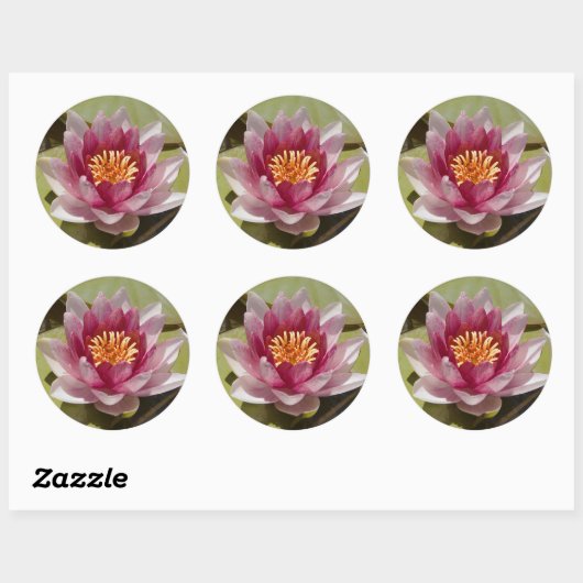 Roze Water Lily Ronde Sticker (Vel)