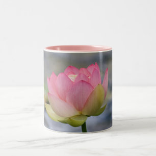 Roze Water Lily Tweekleurige Koffiemok