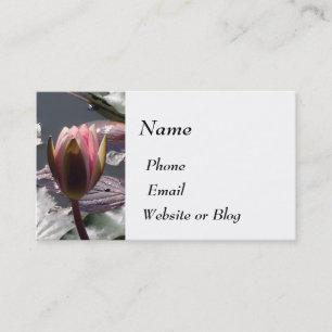 Roze Water Lily Visitekaartje