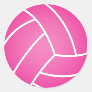 Roze Water Polo Ball Ronde Sticker