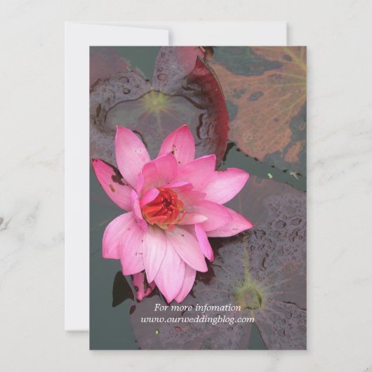 Roze waterlelie bloem bruiloft uitnodiging (Achterkant)