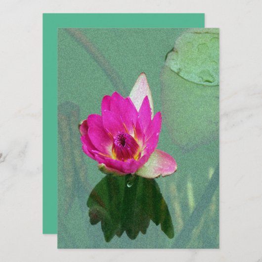 roze waterlelie bloem lege uitnodiging (Voorkant / Achterkant)