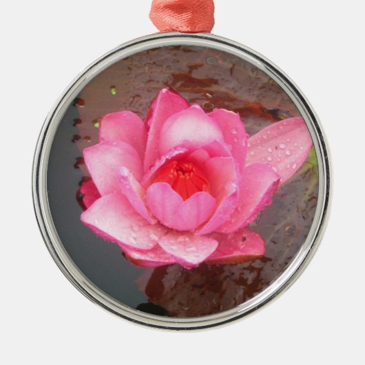roze waterlelie bloem ornament (Voorkant)