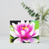 Roze waterlelie briefkaart (Staand voorkant)