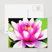 Roze waterlelie briefkaart (Voorkant / Achterkant)