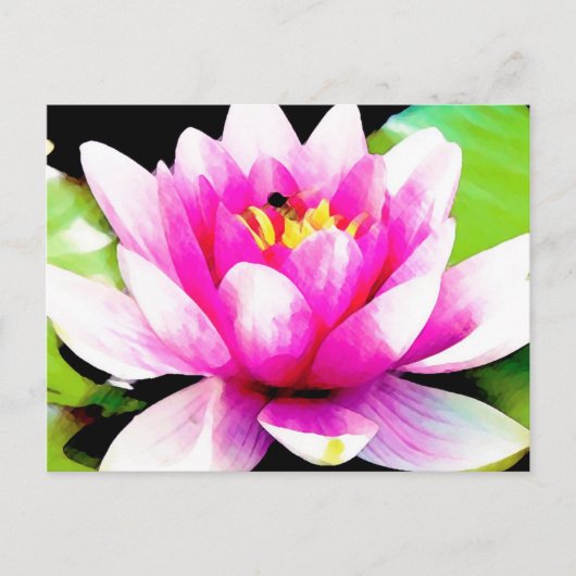 Roze waterlelie briefkaart (Voorkant)