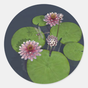  Roze Waterlelie en Dragonfly Ronde Sticker