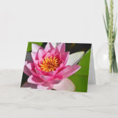 Roze waterlelie (florale afdruk) kaart (Voorkant)