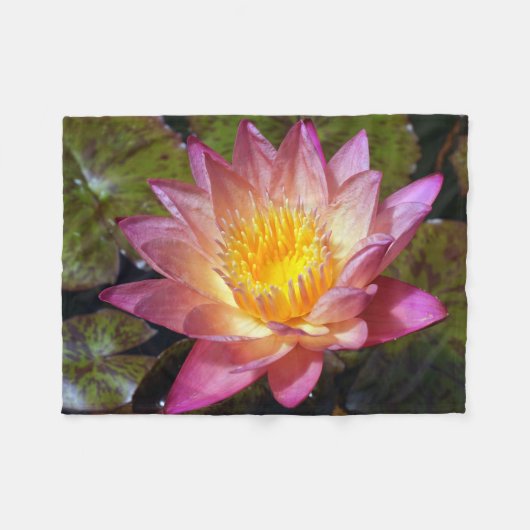 Roze Waterlelie Foto Fleece Deken (Voorkant (Horizontaal))