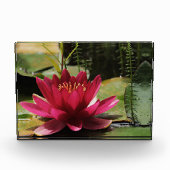 Roze waterlelie fotoblokken (Voorkant)