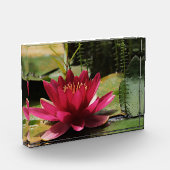 Roze waterlelie fotoblokken (Links)