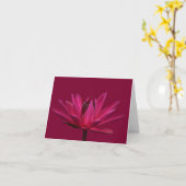 Roze Waterlelie Kaarten met Burgundy Kleur (Gele Bloem)