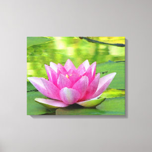 Roze Waterlelie Lotus Bloem op Groen Canvas Print