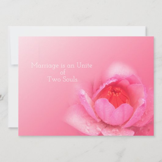 roze waterlelie op een roze achtergrond. 粉 红 睡 莲 。 kaart (Achterkant)